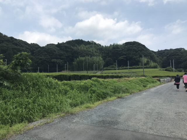 掛川駅からつま恋に向かう田園風景の写真