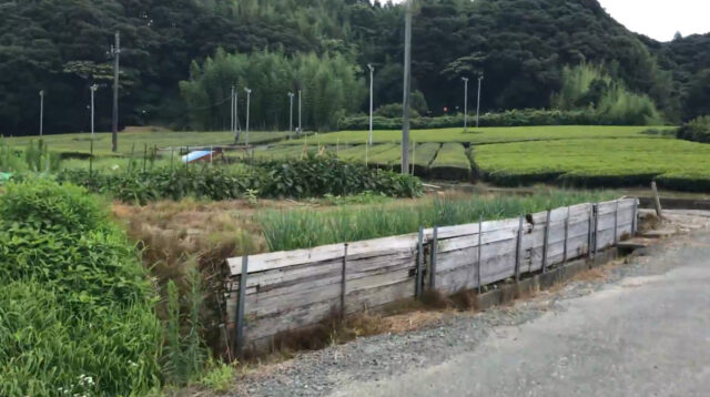 掛川駅からつま恋に向かう田園風景の写真2
